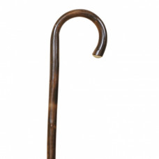 Тростина Journey 22