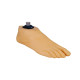 Безшарнірна штучна стопа Seattle Natural with Pyramid SNF 160