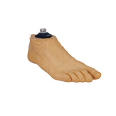 Безшарнірна стопа штучна Seattle Natural with Pyramid SNF 170